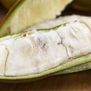 propiedades de la guaba