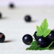 beneficios de la grosella