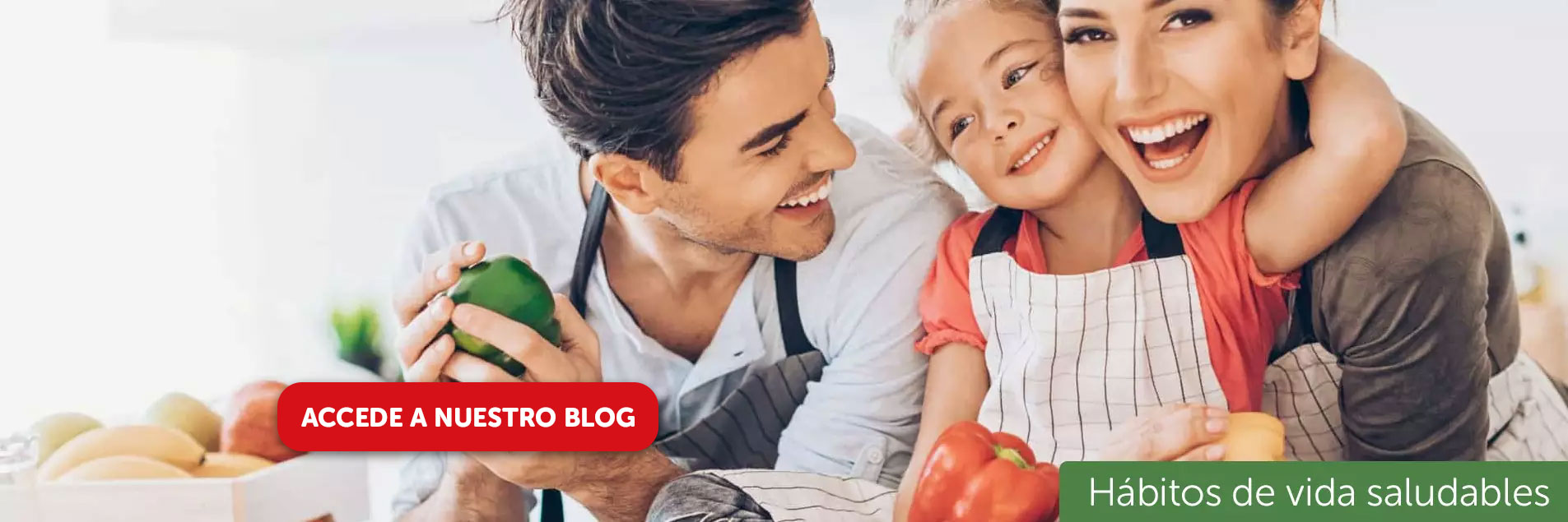 Descubre hábitos de vida saludable en nuestro blog