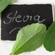 alimentos con stevia