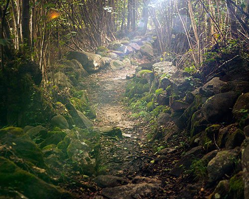 Compromiso medioambiental